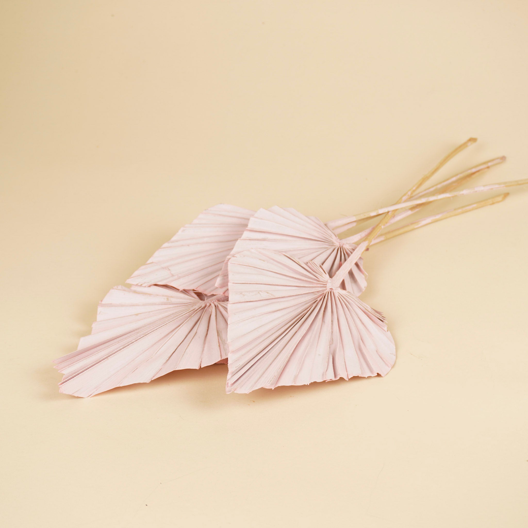 Palm spear salmon pink