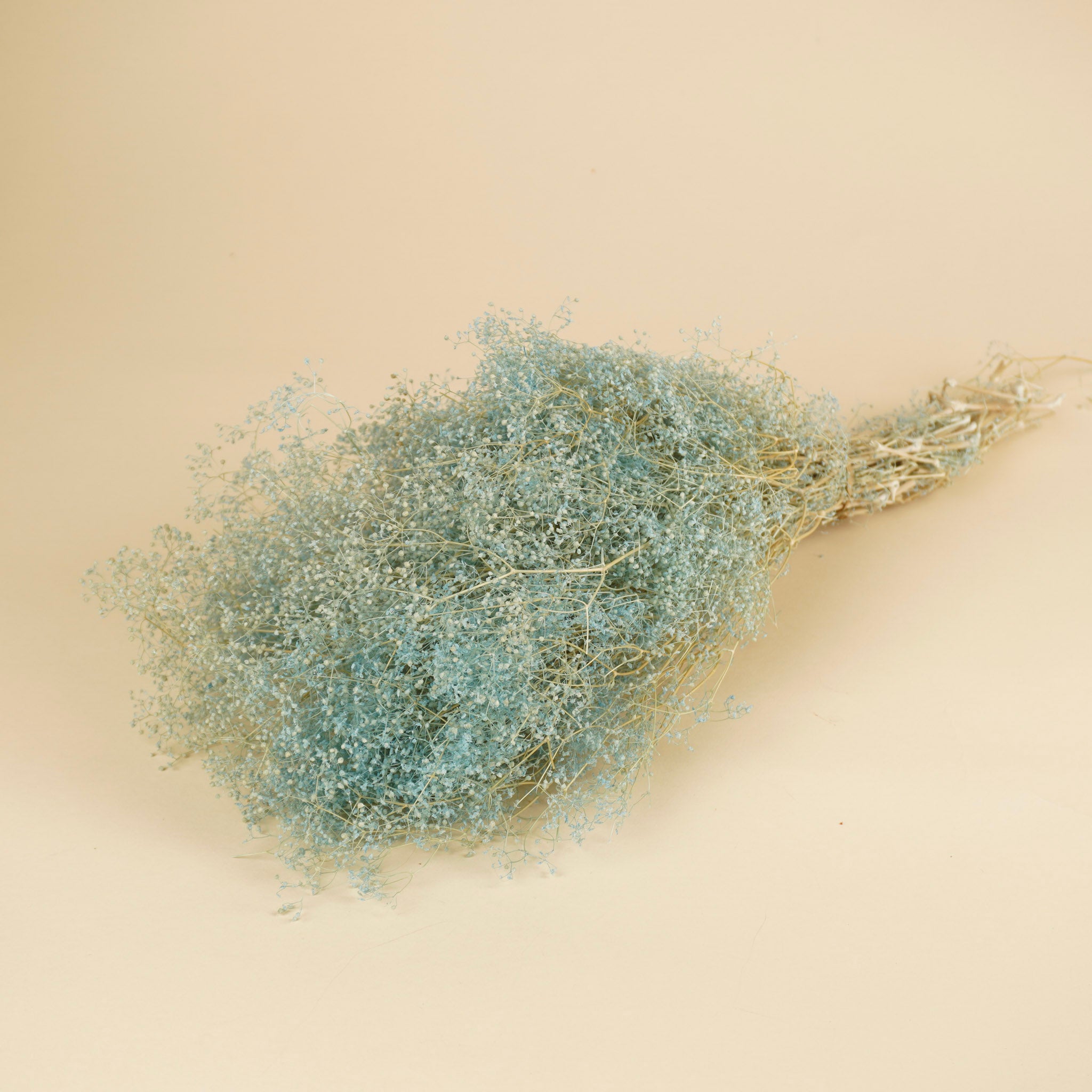 Mini gypsophila blue preserved (gypsum)