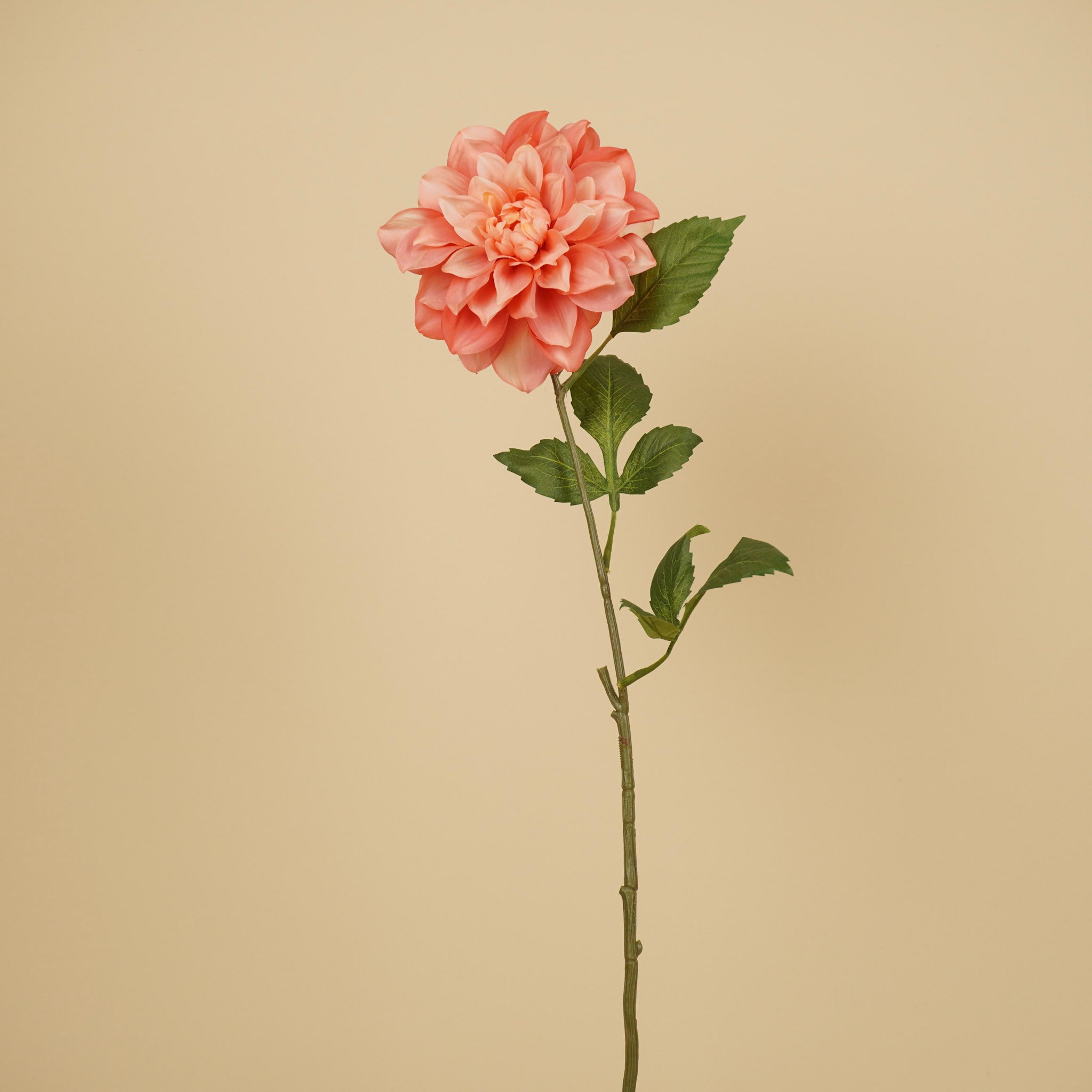 Dahlia de soie – Rose saumon (72 cm)