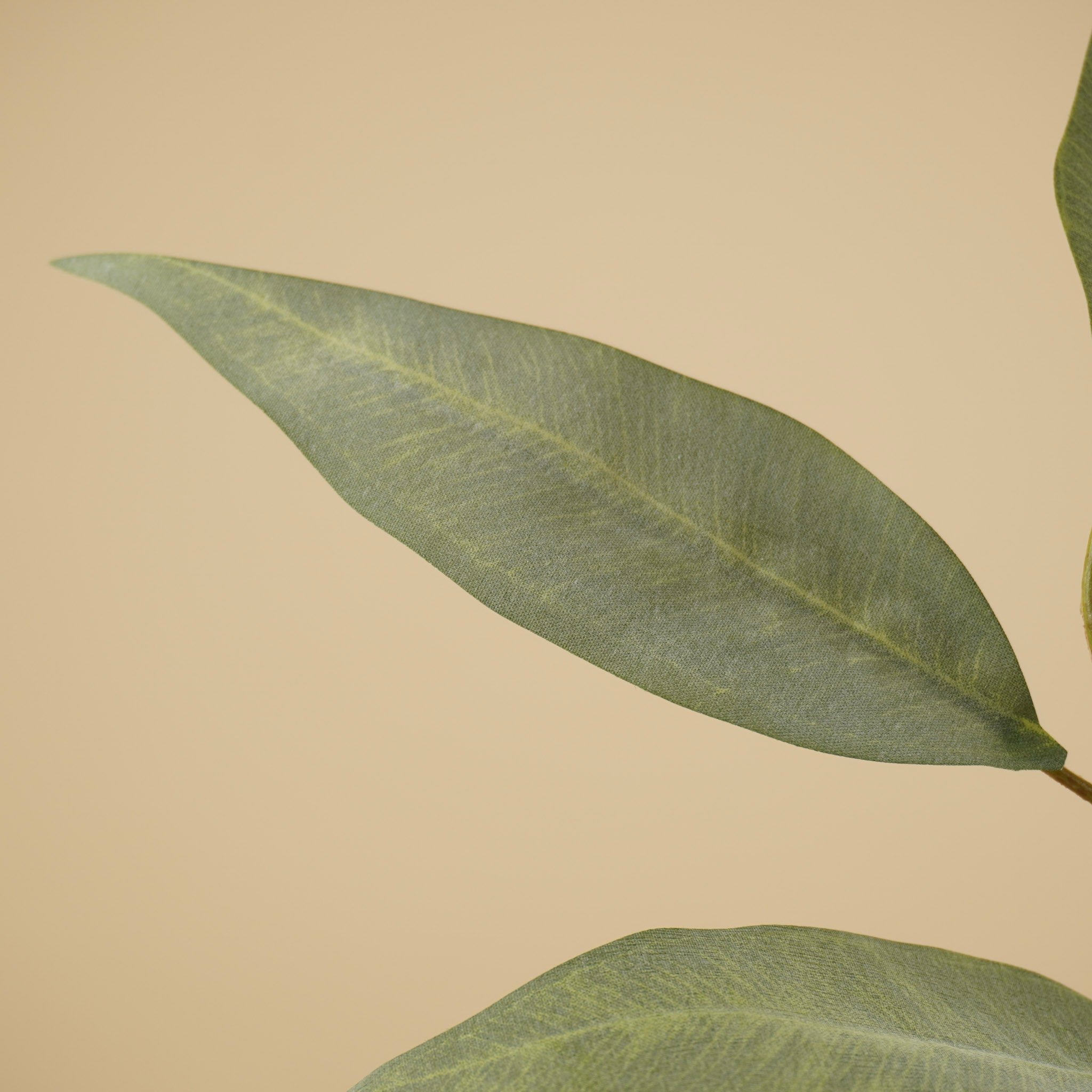 Eucalyptus soyeux – Gris (93 cm)