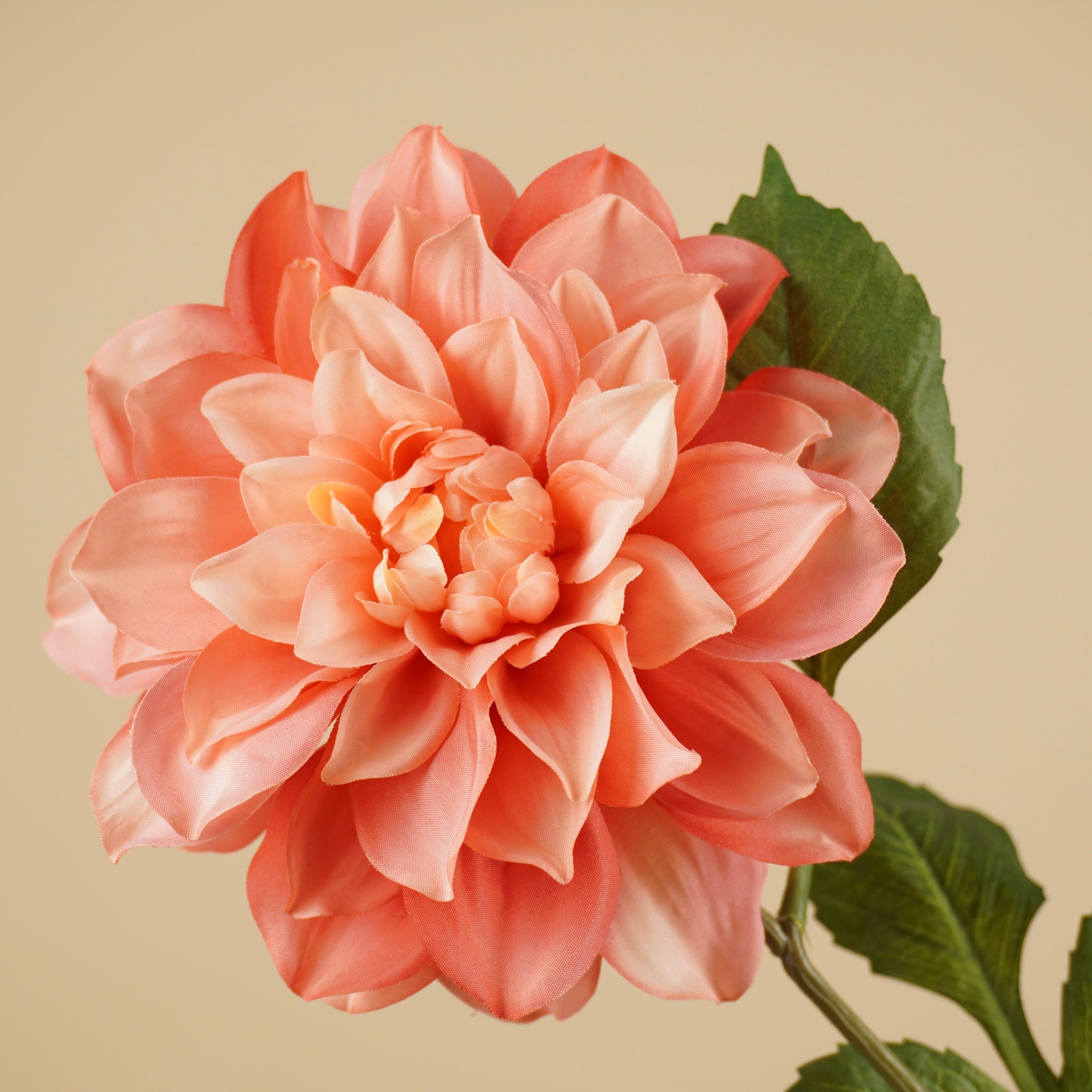 Zijden Bloemen