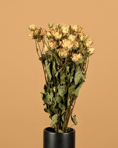 Dried white clusters