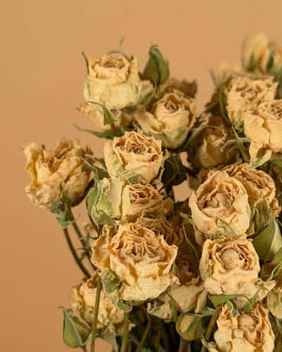 Dried white clusters