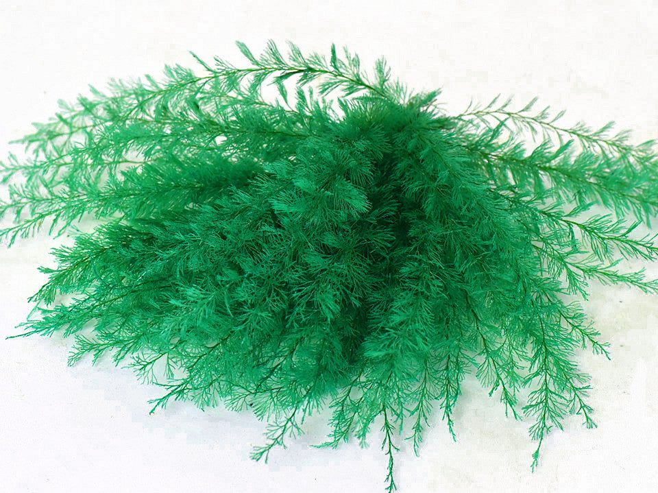 Air Fern Groen 15cm 5-Pack