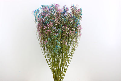 GIPSPRAID Disco Mix Purple & Blue dried