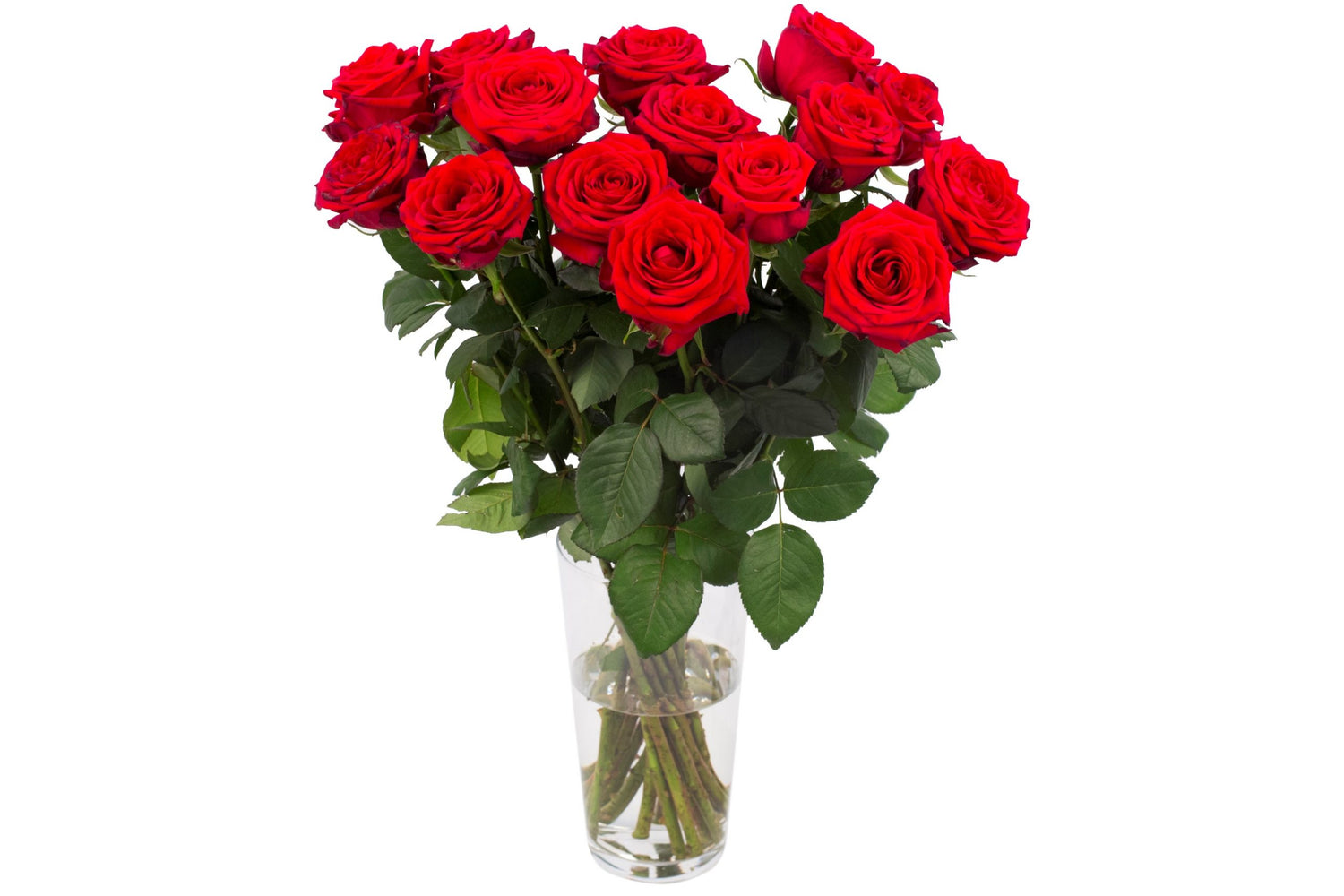 Bouquet of 15 Red Naomi Roses