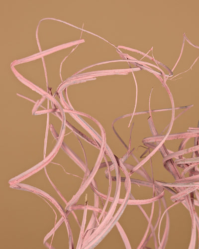 Gedroogde curly ting – roze