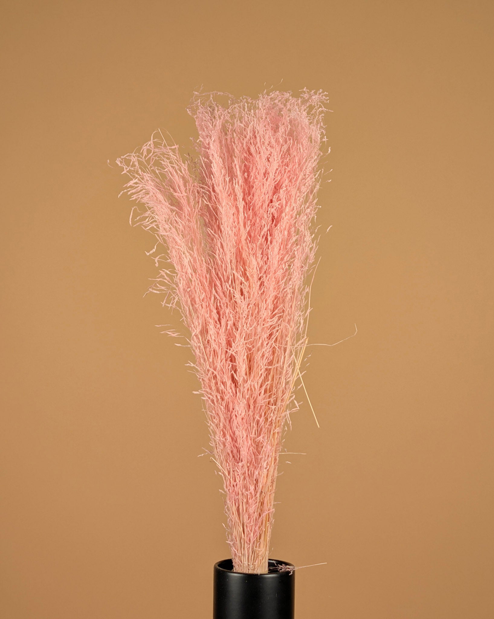 Gras de munni séché rose clair sombre