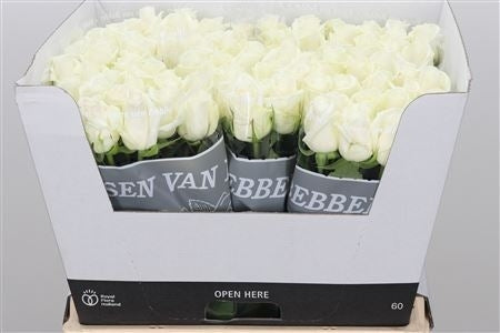 Witte Rozen boeket van lange middel grootbloemige Rozen