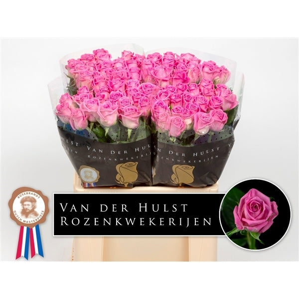 Roze Rozen boeket van lange middel grootbloemige Rozen