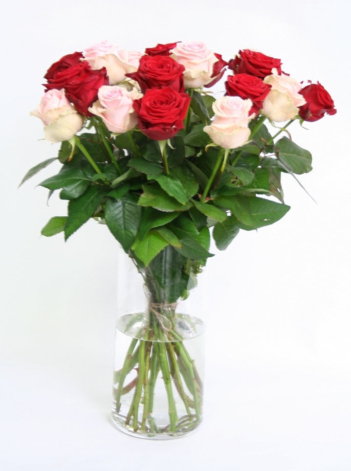 Rosenstrauß von großen rosa Rosen und roten Rosen