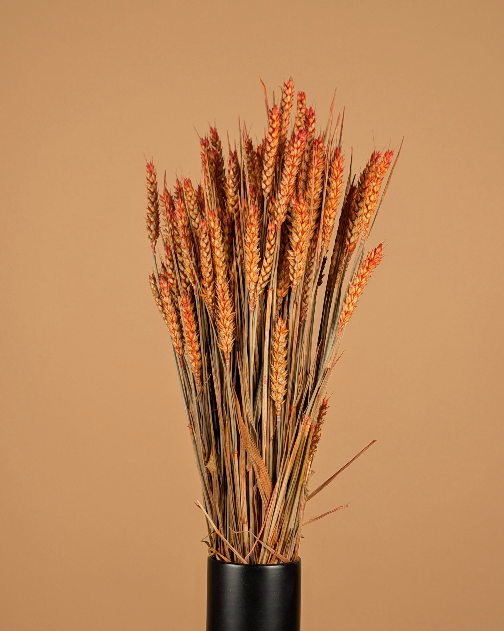 Gedroogde tarwe – oranje