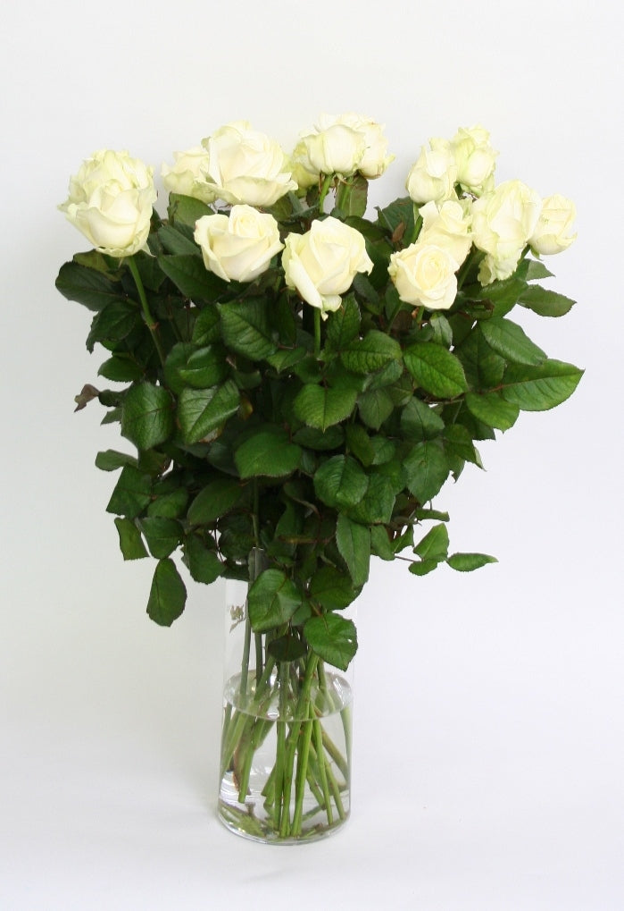 White rose bouquet of long large -flowered cream white roses