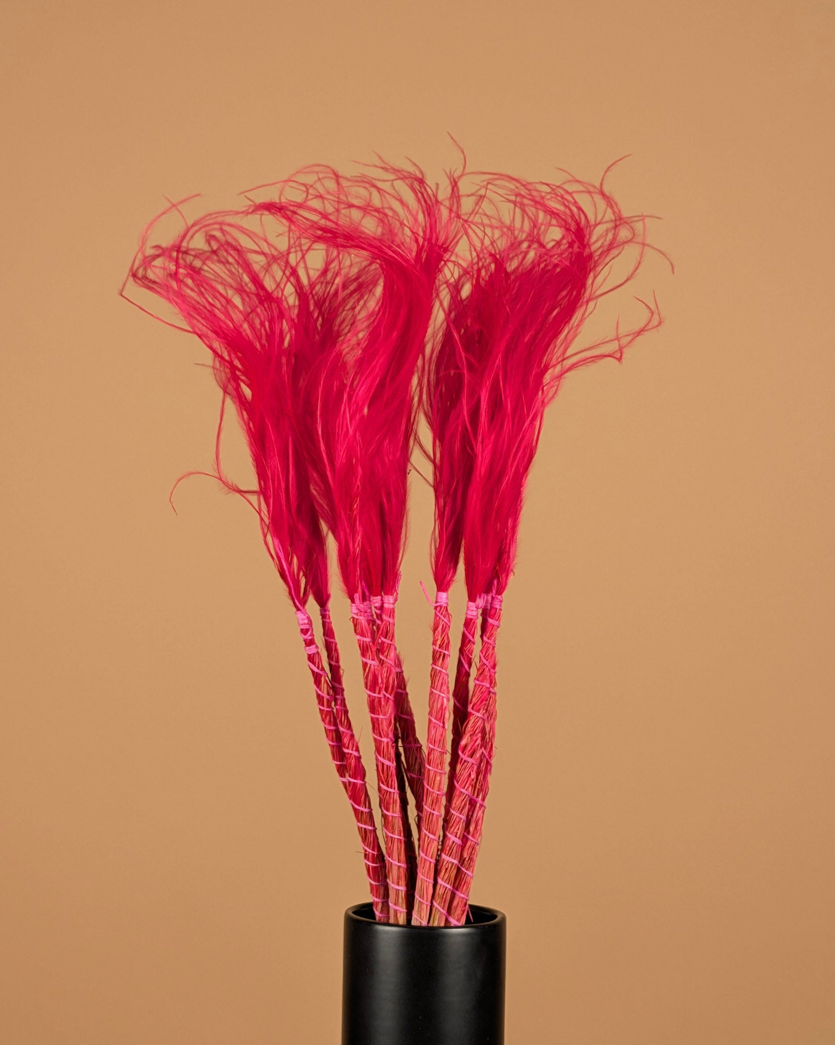 STYPA PENATA CERIRIS