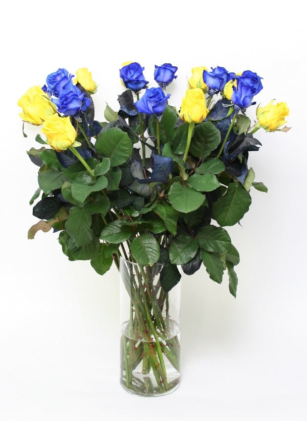 Rosenstrauß von 10 blauen Rosen mit 10 gelben Rosen