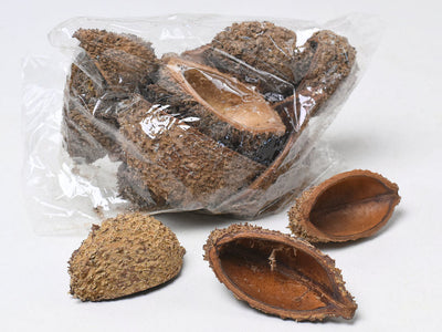 Bolsa de pastor mini