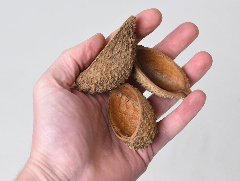 Bolsa de pastor mini