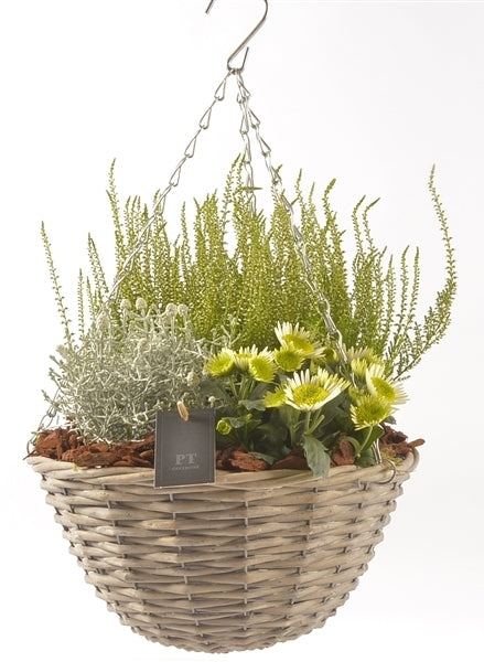 Plantes d'automne dans un panier suspendu