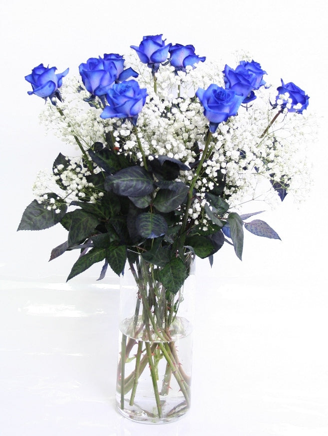 Blue roses bouquet of 10 roses with gypsophile white