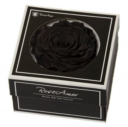 Erhaltte schwarze Rose in einer Geschenkbox