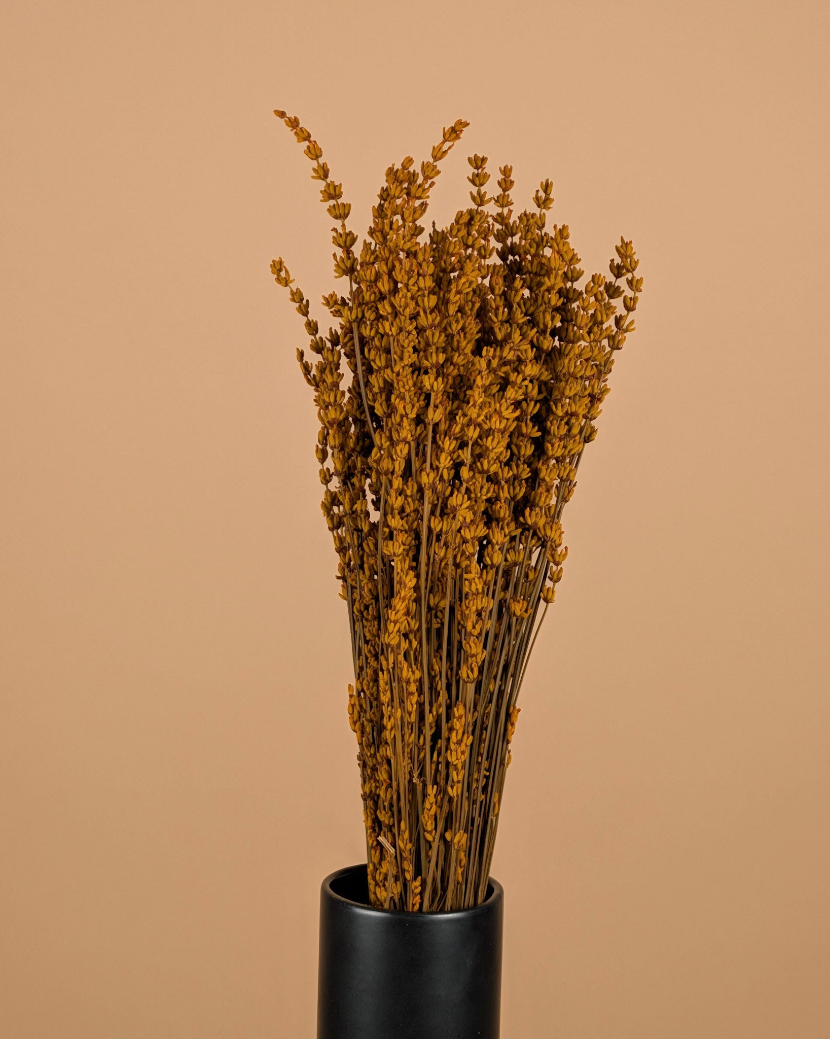 Gepreserveerde lavendel – diep oranje