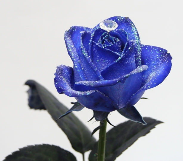 Bouquet de roses brillantes bleues avec un diamant