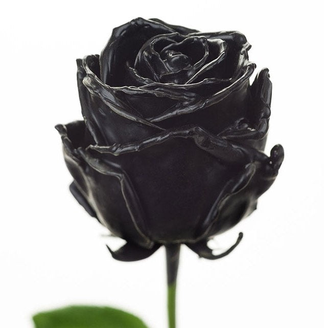 Bouquet de grandes roses de cire noire à flux