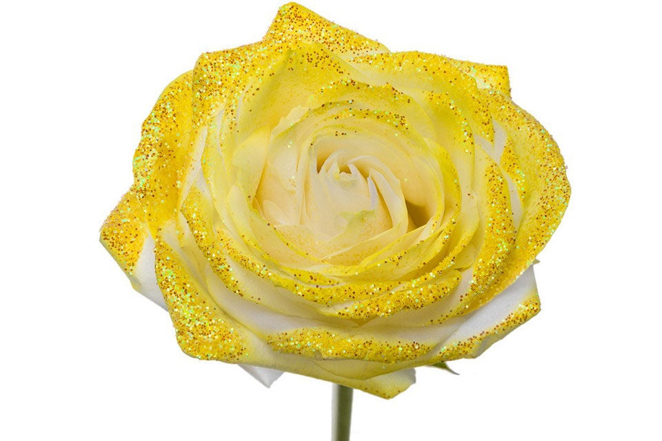 Bouquet de roses blanches grandes avec paillettes jaunes