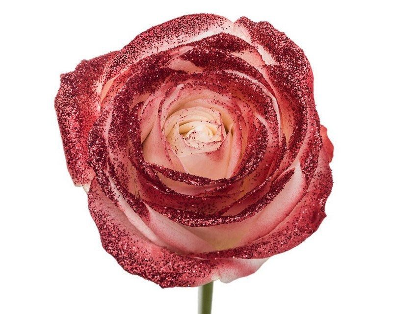 Bouquet of white large -flowered roses with red glitter