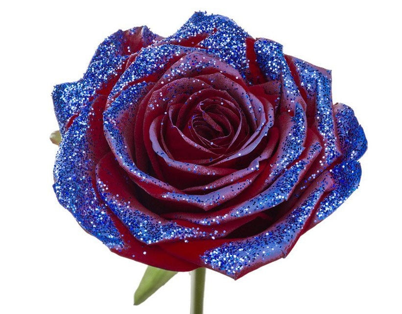 Blumenstrauß aus roten Rosen mit blauem Glitzer