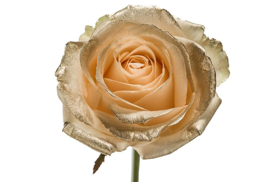 Blumenstrauß von Peach Grootblarie Rosen mit goldenen Blos