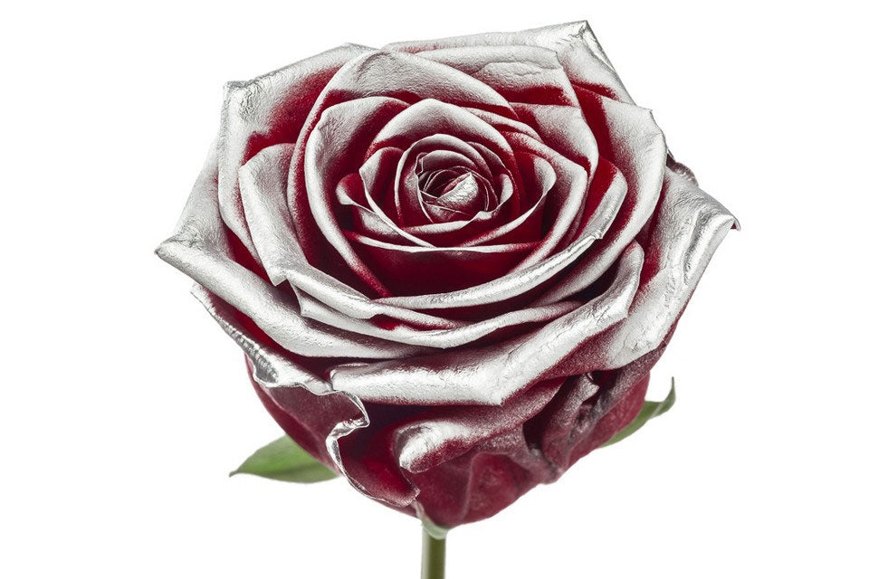Boeket van rode grootbloemige Rozen met zilveren blos
