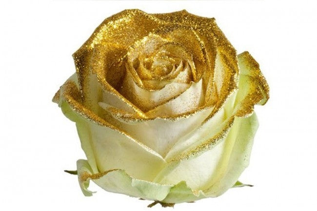 Bouquet von großen weißen Rosen mit goldenem Glitzer