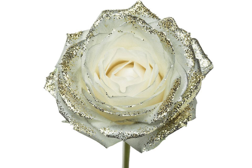 Bouquet von großen weißen Rosen mit Mutter -Pearl -Glitzer