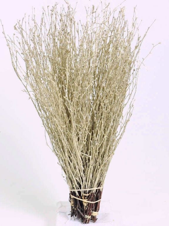 Birch -Zweige in der Farbe Champagner mit Glitzer