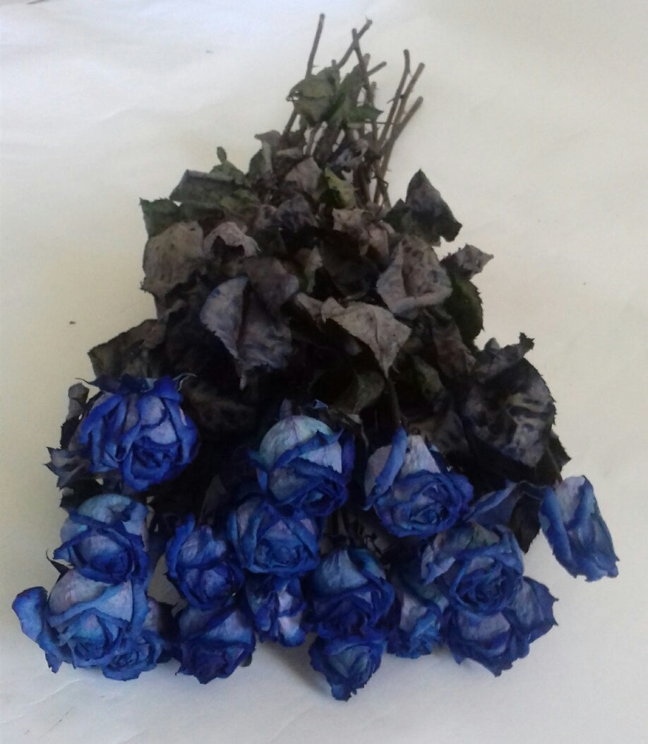 Roses bleues séchées par forêt de 10 roses