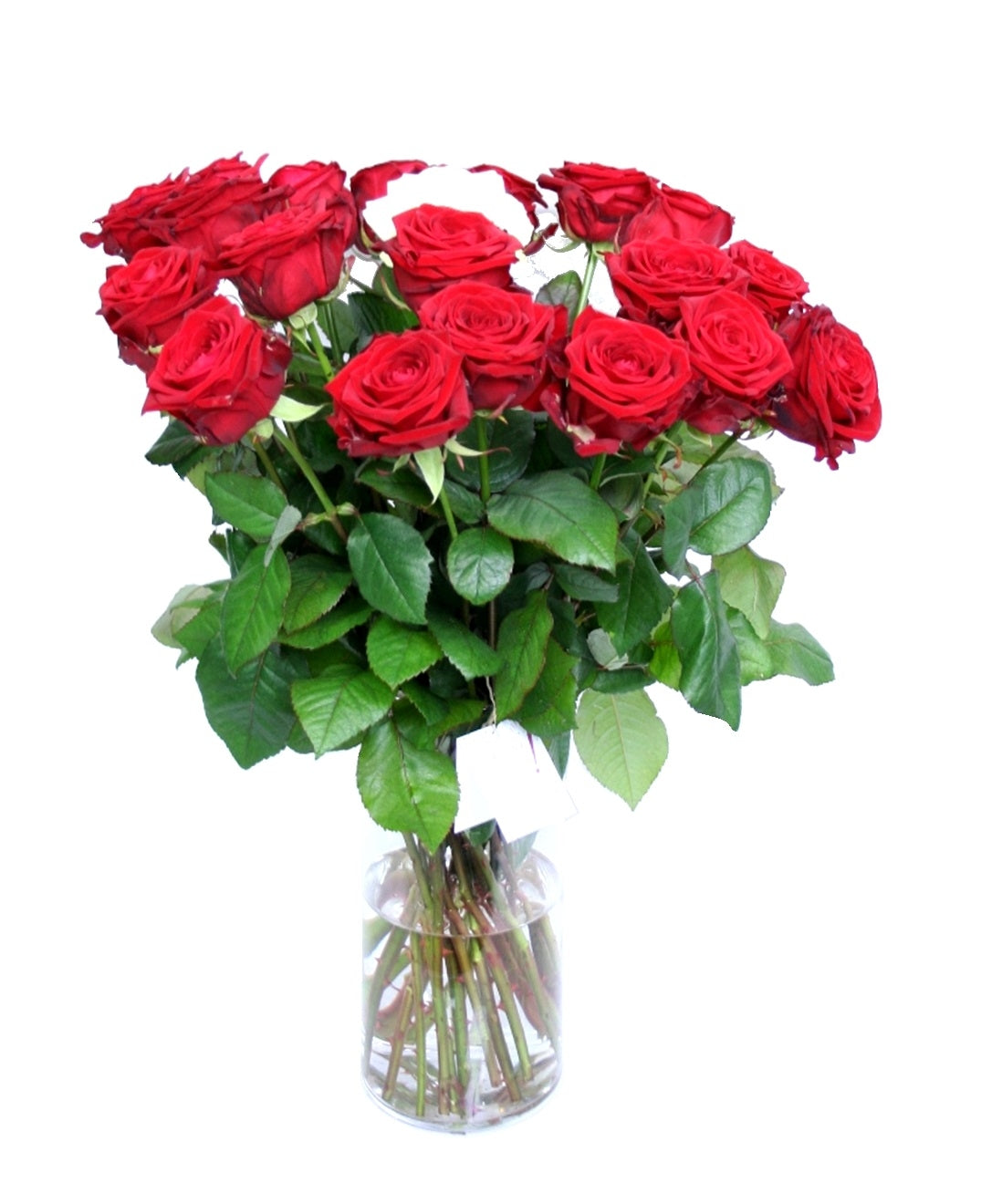 Bouquet de rose rouge pour l&