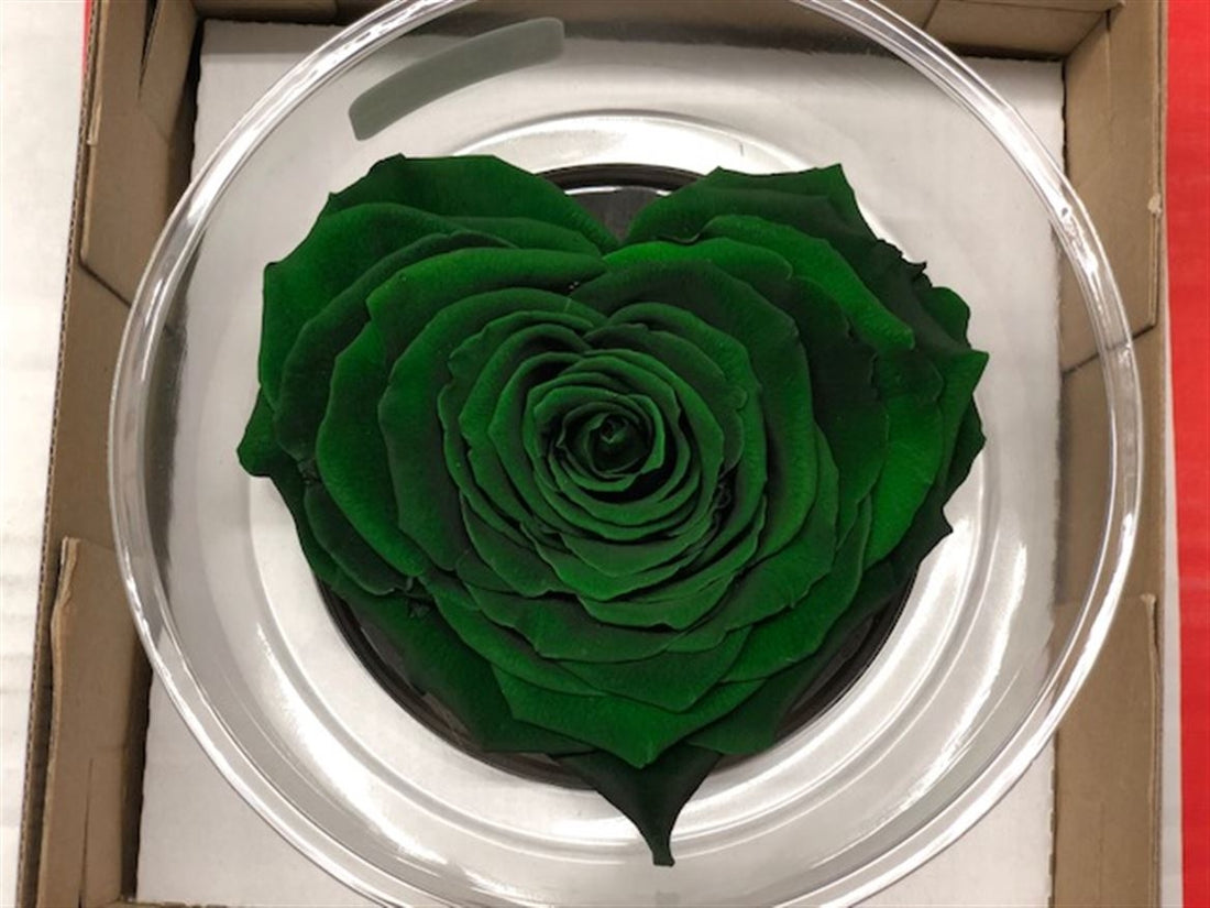 Heart de roses vertes conservées dans une boîte cadeau