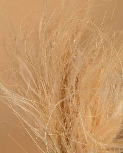 Stypa Penata Naturel