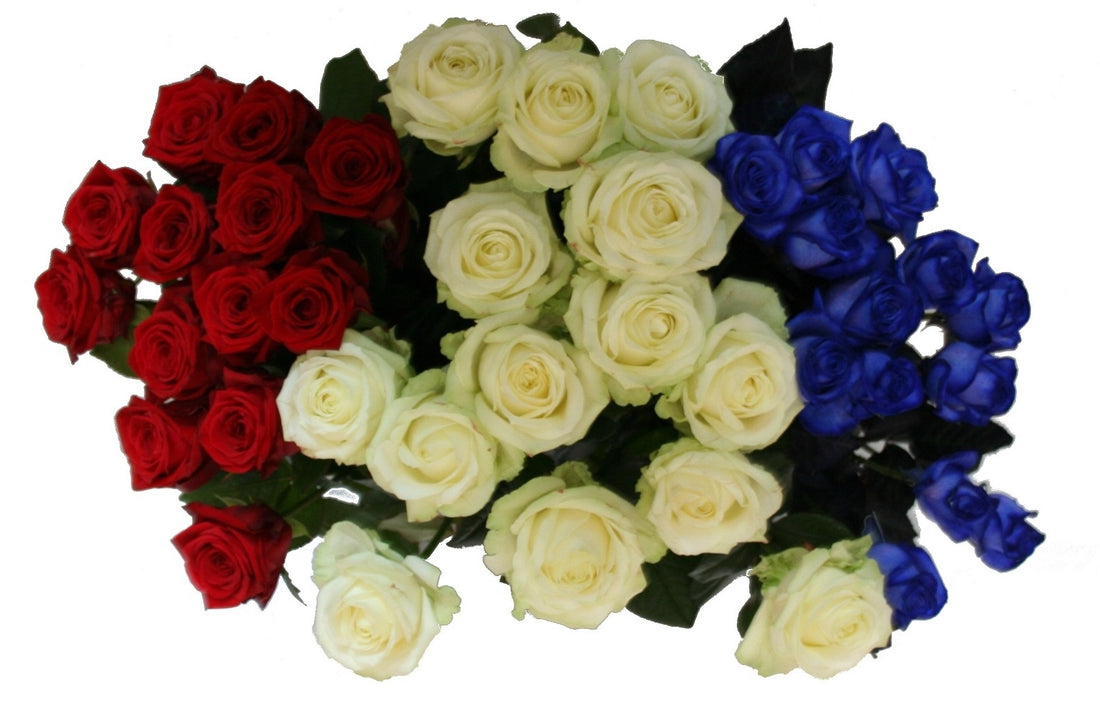 Bouquet de longues roses bleu blanc rouge