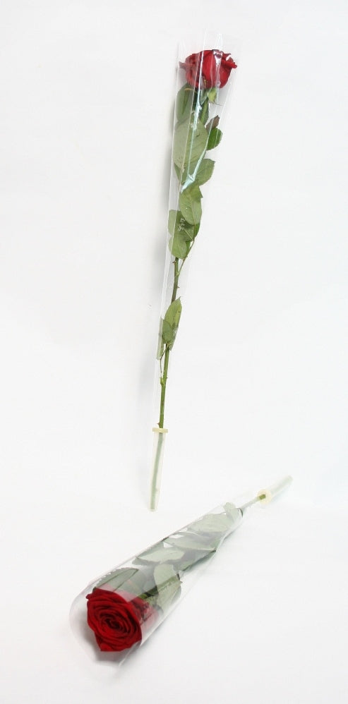 Roses de 60 cm chacune emballées avec un tube à fleurs