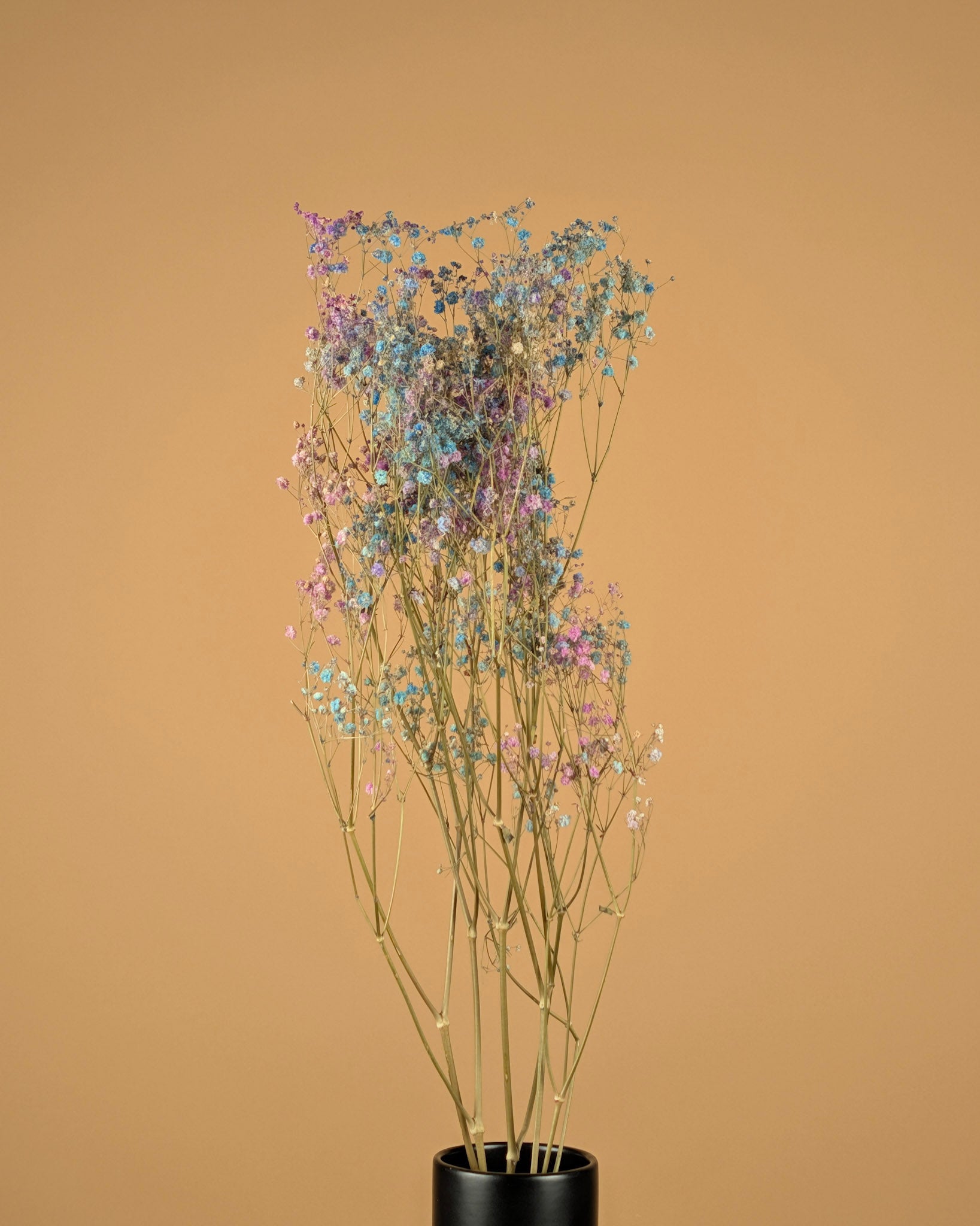 Gipskruid disco mix paars &amp; blauw gedroogd