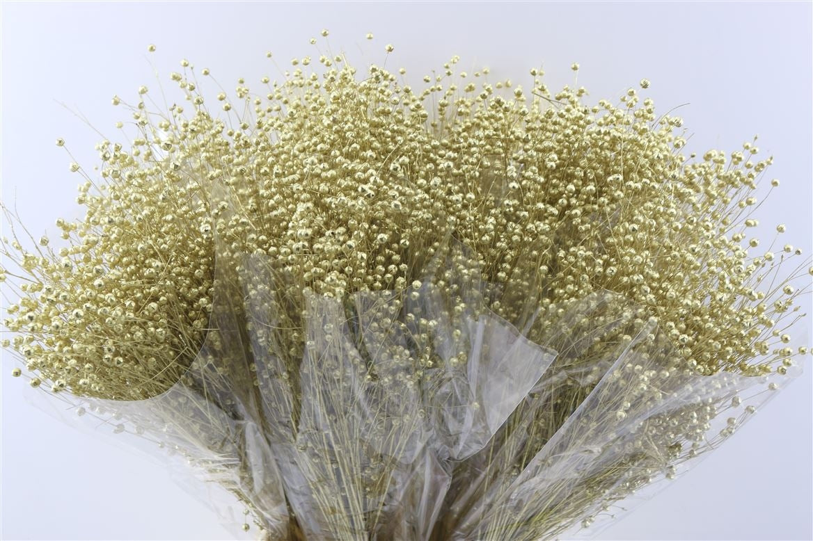 Dried Lino Vlas Gold 150 grams