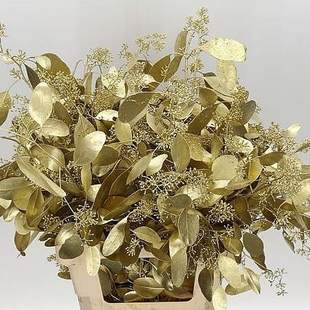 Eucalyptus populus gold painted per forest