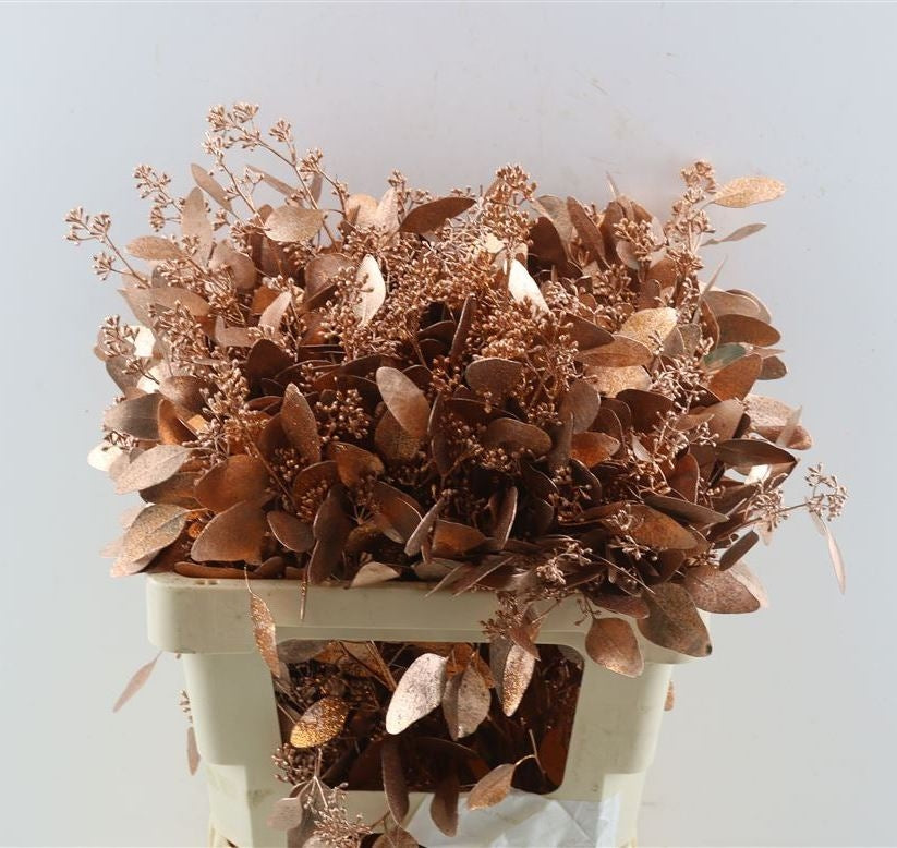 Eucalyptus populus copper painted per forest