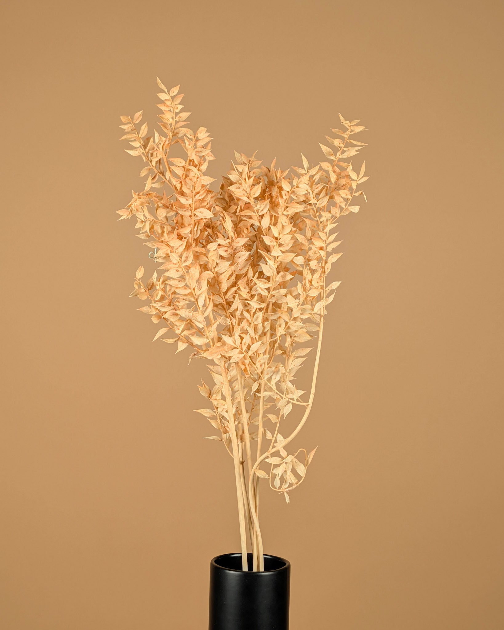 Rose rose rose rose rose