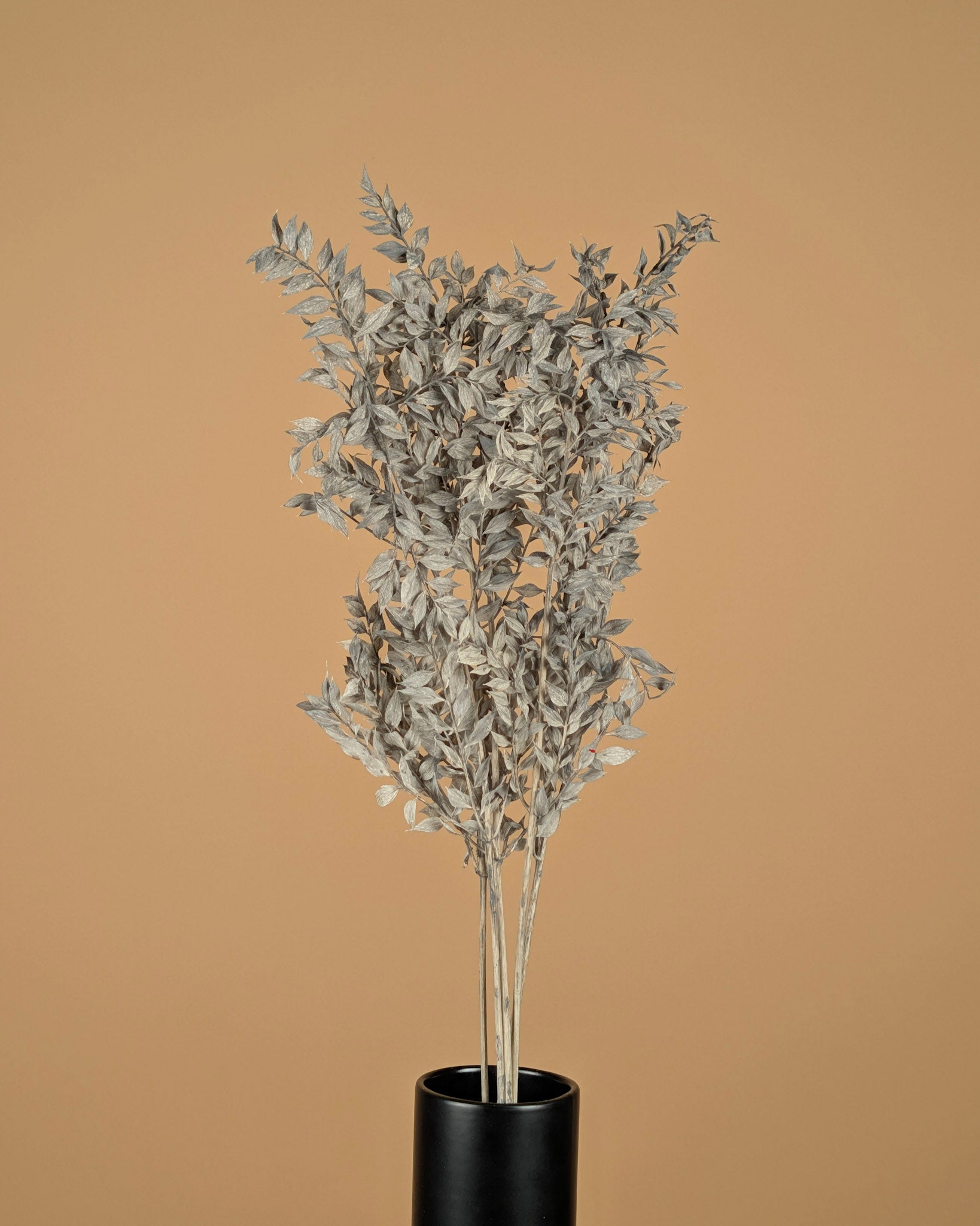 Gepreserveerde Ruscus – mint grijs