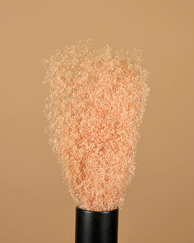 Mini Gypsophila Hellrosa Konserviert (Gypsum)