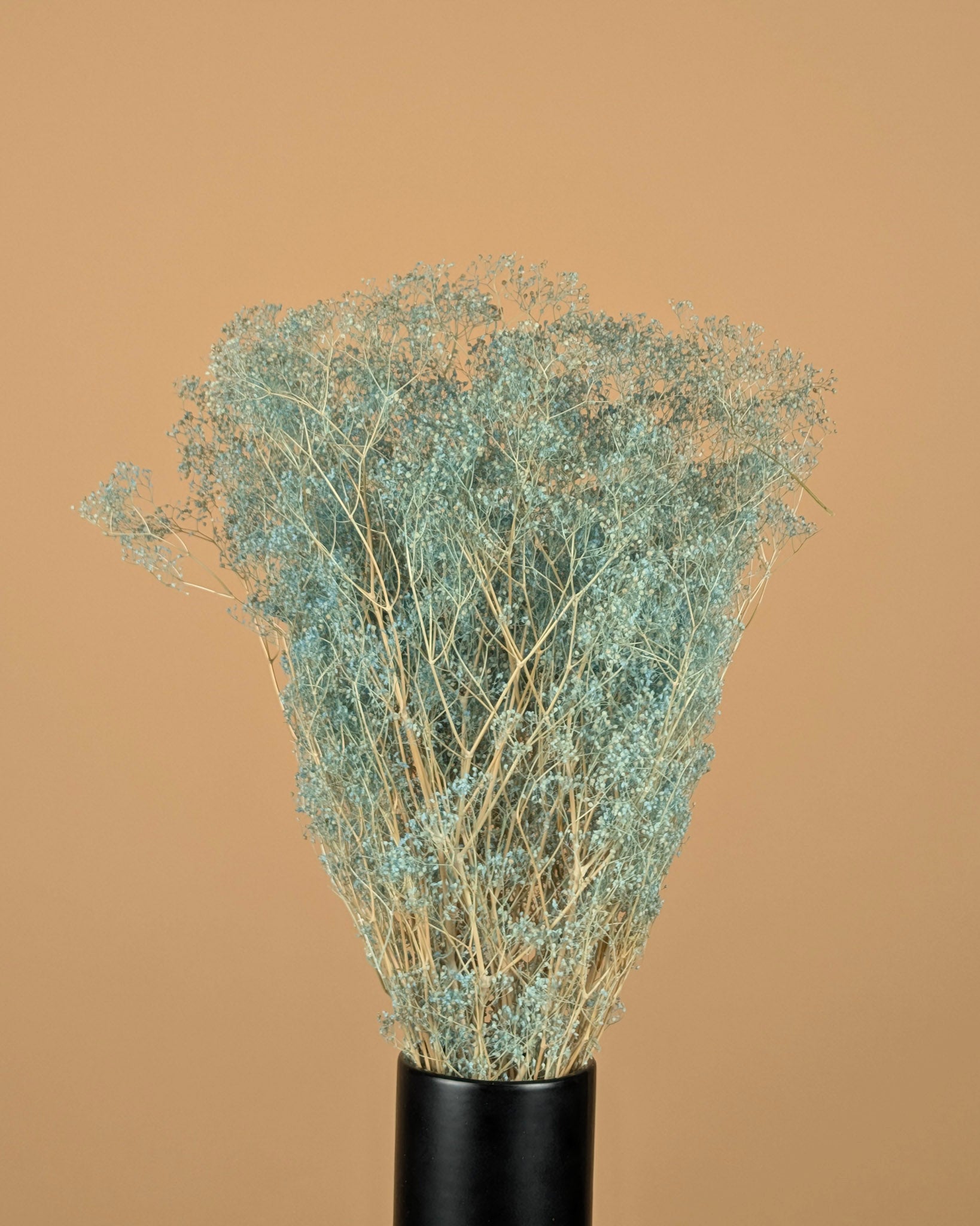 Mini Gypsophila Blue erhalten (Gypsum)
