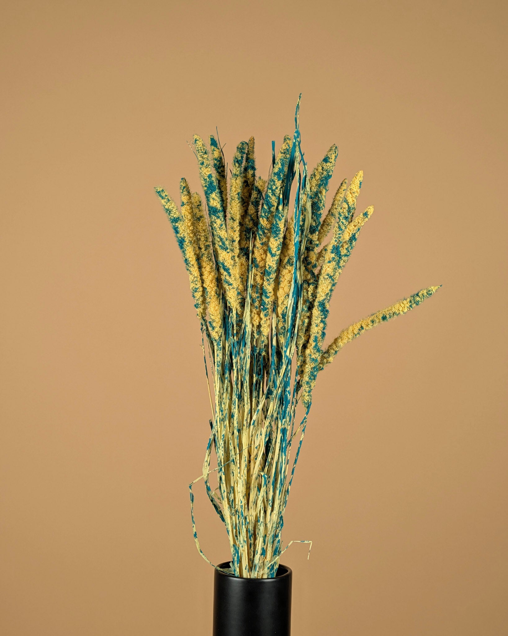 Dried Amaranthus Red